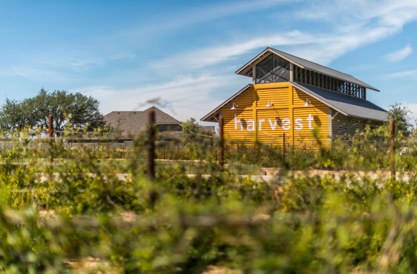 Harvest Coomunity_Argyle Texas